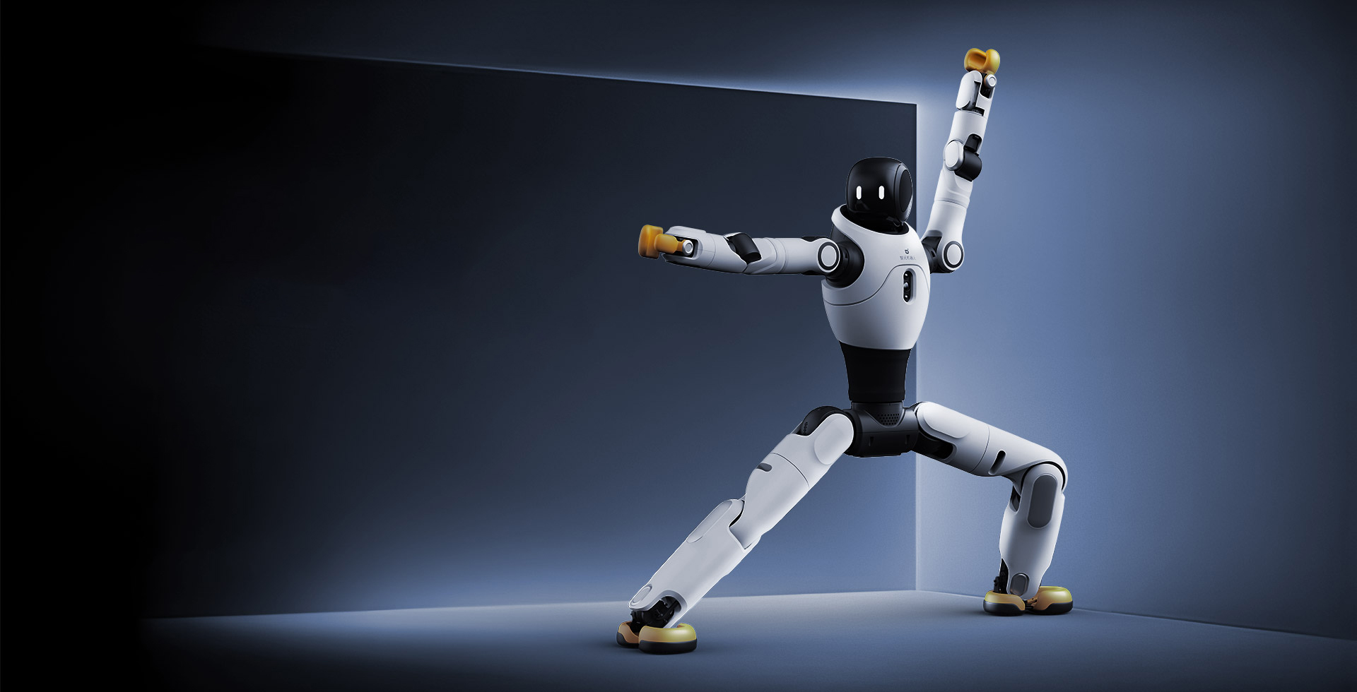 555000jcjc公海灵犀 X2